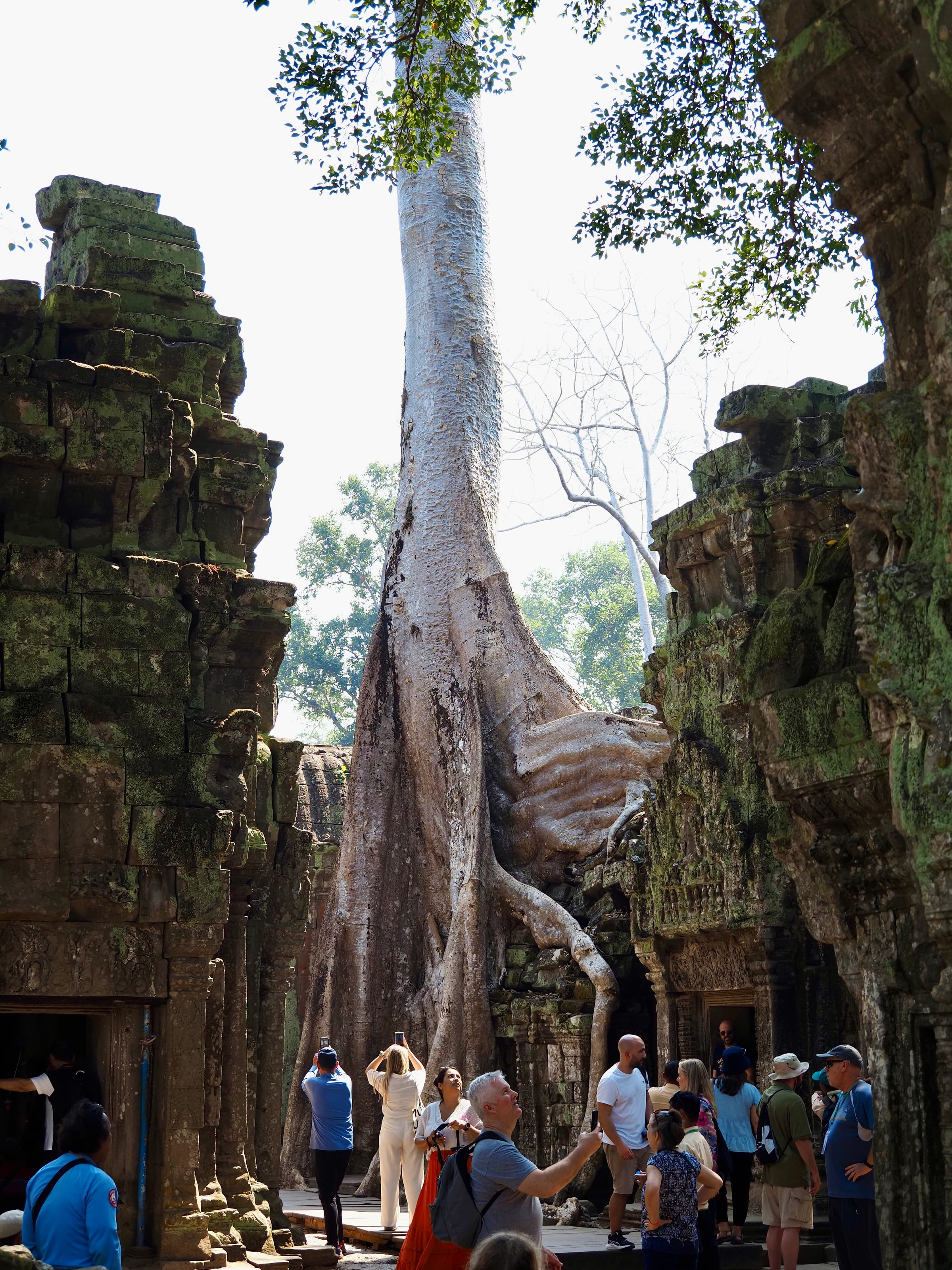 Siem Reap